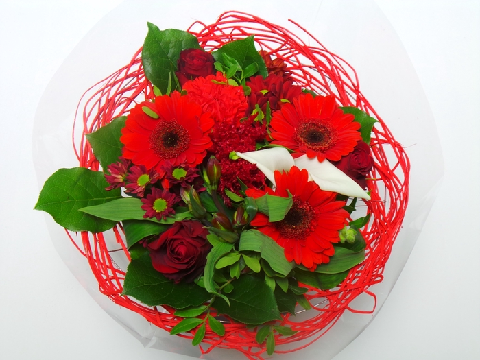 <h4>BQ Sisal Large Red</h4>
