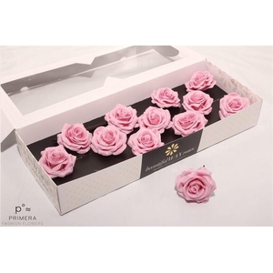 Roos Wax Zijde 9374 M Lilac Soft