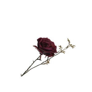 Rosa Spray Burgundy FL440207BUR