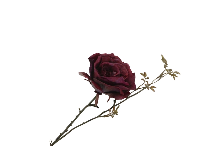 <h4>Rosa Spray Burgundy FL440207BUR</h4>