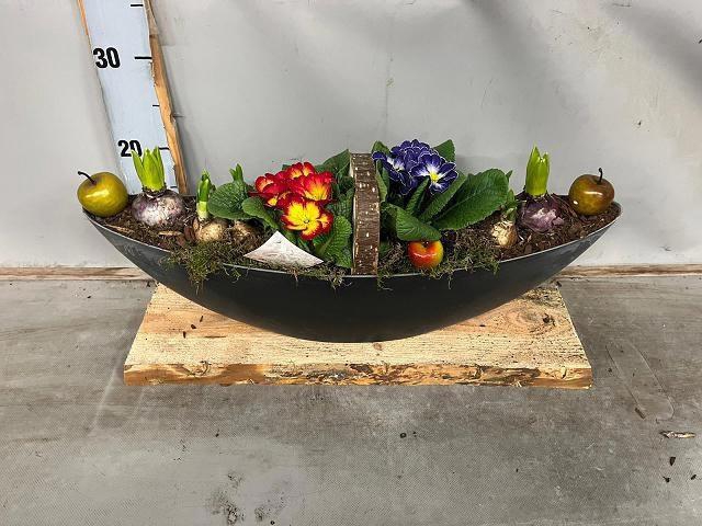 <h4>ARR BOL KNOLGEWAS</h4>