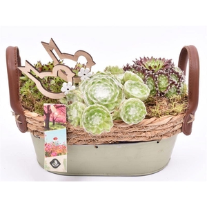 Zink ovaal groen met jute 23x14cm