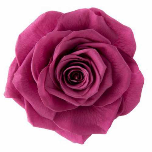 <h4>Rose Monalisa Rose Wine</h4>