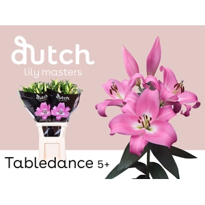 LI OT TABLEDANCE 5+