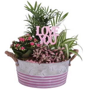 Mothersday Arr. Indoor Zinc Butterfly Pot Ø24cm 4PP
