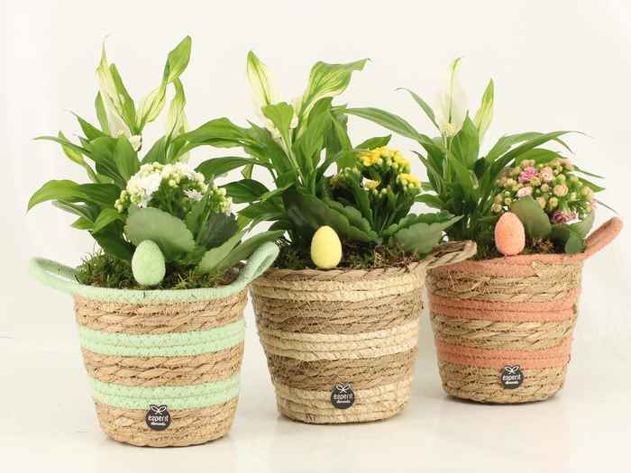 <h4>70985: Easter arrangement</h4>