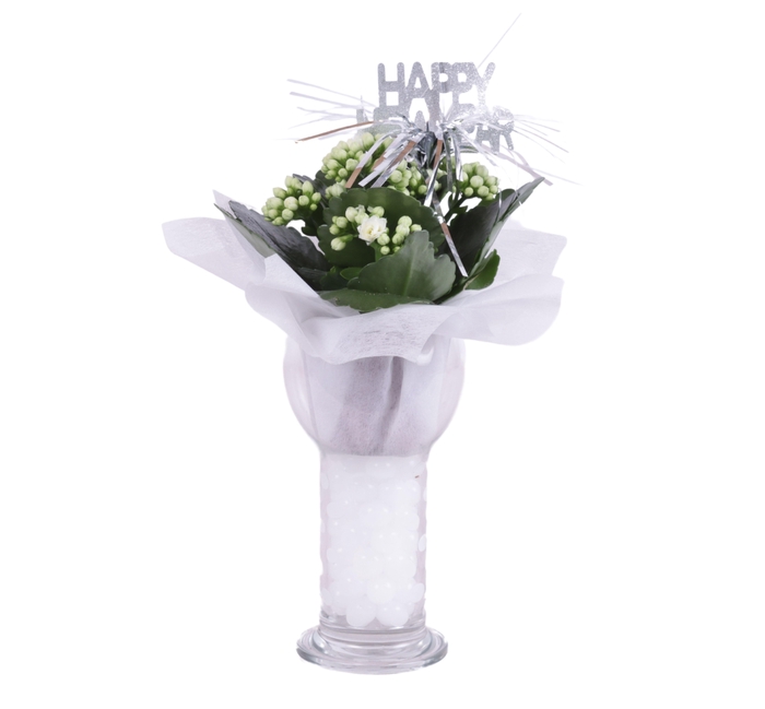 <h4>New Year Arr. Indoor Glass Sphere Cylinder Vase Ø09cm 1PP</h4>
