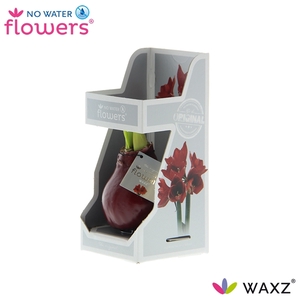 No Water Flowers Waxz® Bordeaux in Gift Box