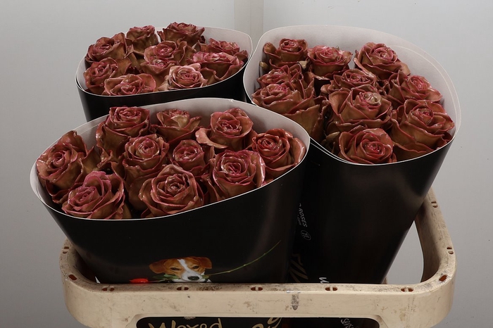 Wax-Rozen Wax Classic Pink