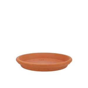 Terracotta Waterdish D21xh4cm