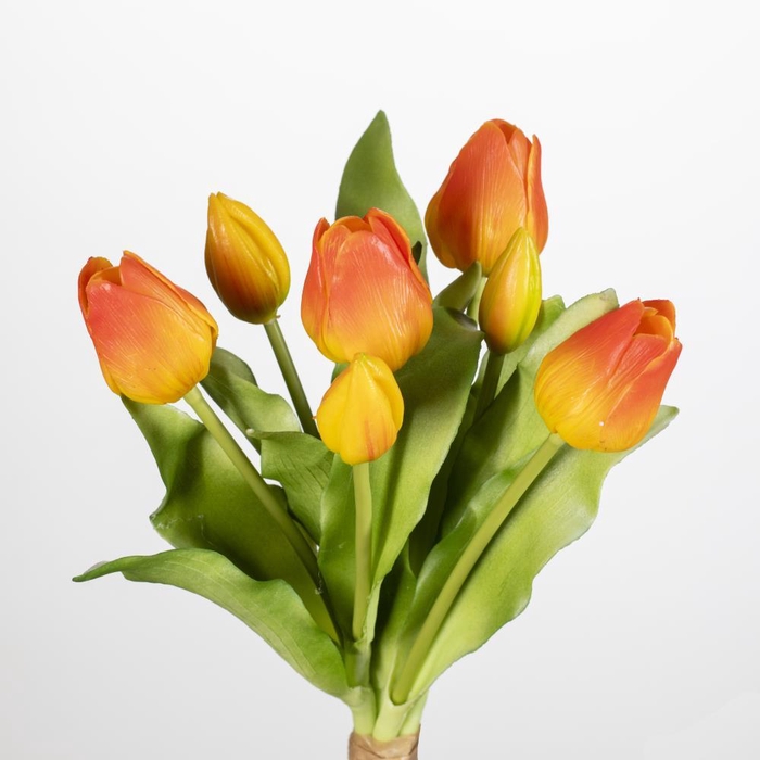<h4>AF Tulip bundle x7 L30cm or</h4>