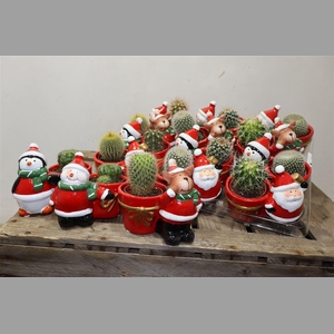 Cactus Gem In Mix Keramiek