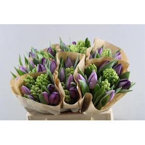 Hyacint-tulp Mix(paars-lavendel)