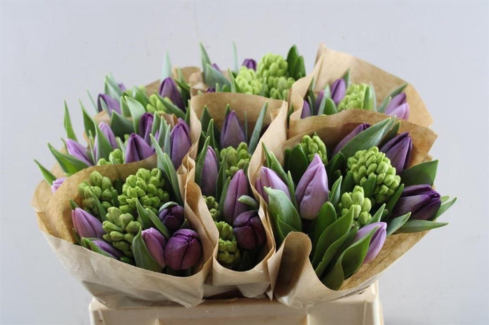 <h4>Hyacint-tulp Mix(paars-lavendel)</h4>