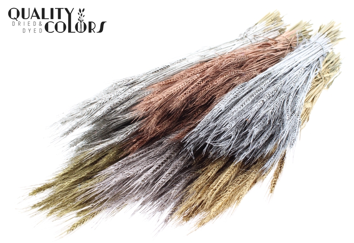 <h4>Triticale per bunch Mixed colours Metallic</h4>