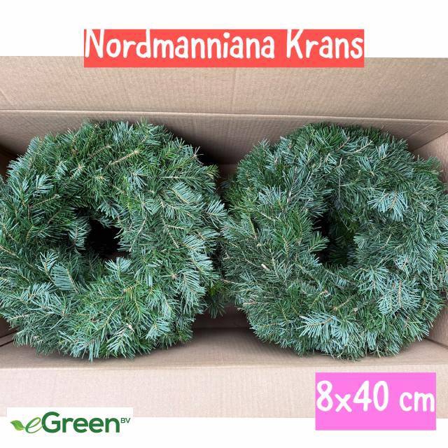 <h4>NORDMAN KRANS</h4>