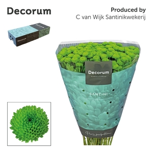 Chr S Country decorum box