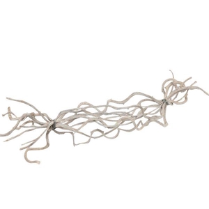 Bundle Crazyvine 10 Pcs L60