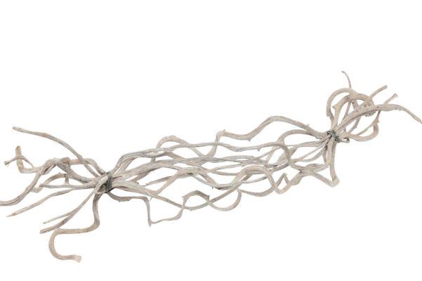Bundle Crazyvine 10 Pcs L60