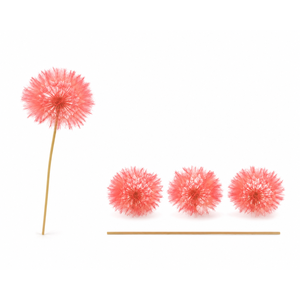Dried Bleached Dandelion Red