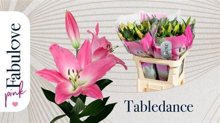 <h4>Li Ot Tabledance 3+</h4>