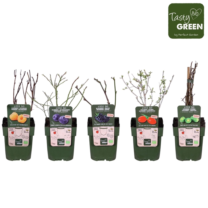 Fruitbomen en -heesters ov