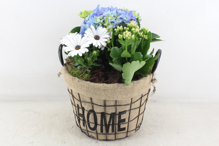 <h4>arr4 Outdoor MB - Hort. blauw Home mand XL</h4>