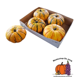 CUCURBITA