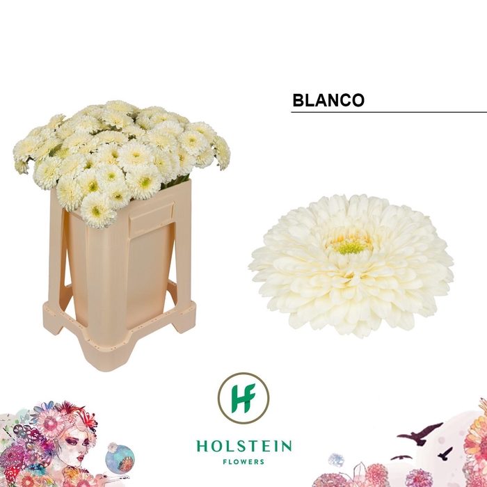<h4>GE MB GERPONI BLANCO</h4>