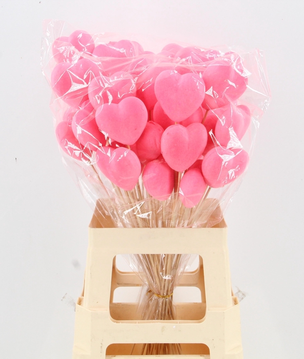 <h4>HARTJE OP STOK H%</h4>