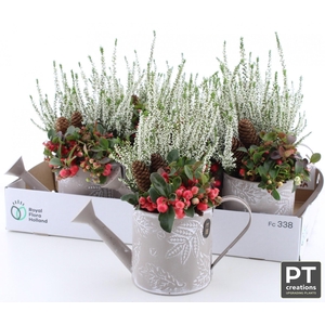 ARR TUINPLANTEN