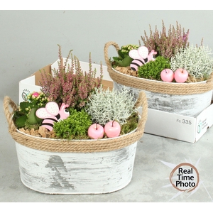 ARR TUINPLANTEN