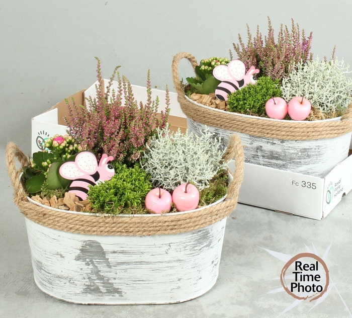 <h4>ARR TUINPLANTEN</h4>