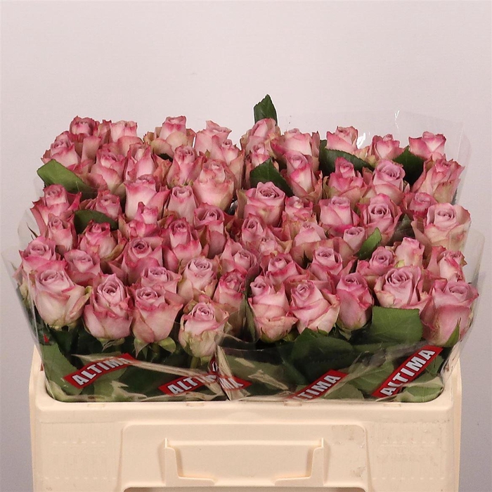 <h4>R Gr Memory Lane!</h4>