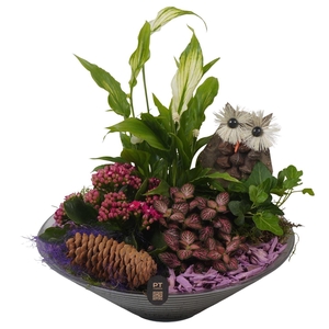 Arr.    Planten  L%
