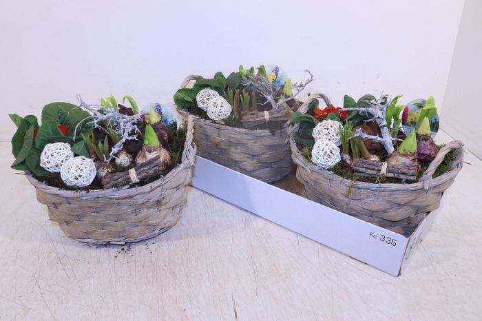 <h4>ARR TUINPLANTEN</h4>