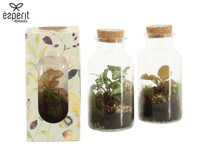 <h4>90921: Terrarium mini Storage D8 / H16 in Giftbox</h4>