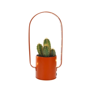 Led planter zink boog Cactus