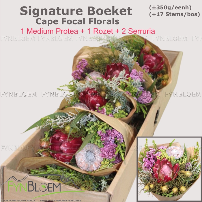 <h4>PROTEA PER BOS</h4>