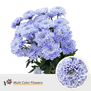 Chr T Altaj Soft Milka
