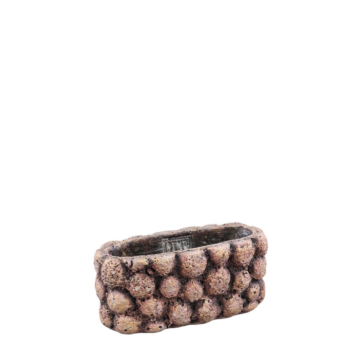 <h4>Promo Gen planter 18*08*08cm</h4>