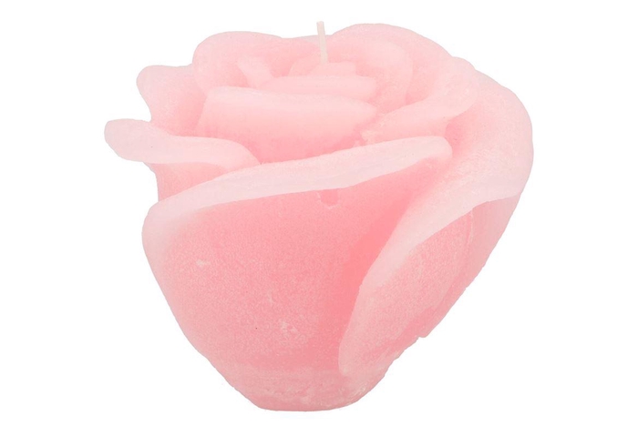<h4>Candle Rose White Pink 14x12cm</h4>