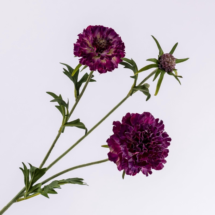 <h4>Scabiosa Spray Purple FL440345PRP</h4>