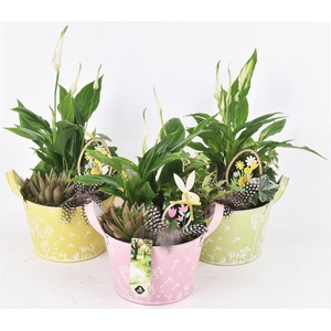 Zink schaal decor mix kl 15.5cm