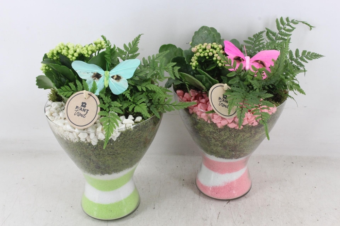 <h4>arr2 PL - Glas diabolo - roze/wit</h4>