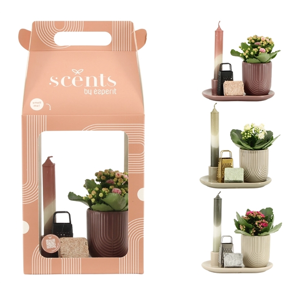 <h4>90759: Scents arrangement</h4>