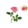Silk Open Rose Light Purple Real Touch 43cm