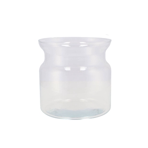Glass Milk Bottle Vase 19x19cm