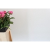 Paeonia Dr A Fleming