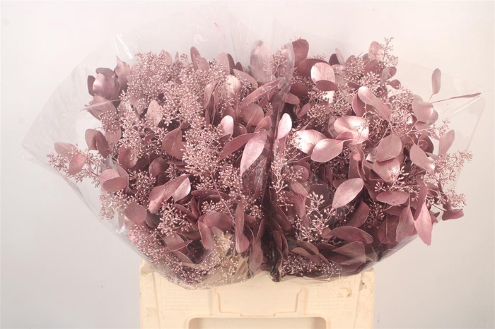 <h4>Euca Populus Berry V Pink Metallic</h4>